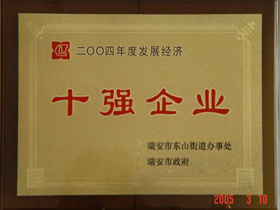 2004年度經(jīng)濟(jì)發(fā)展十強(qiáng)企業(yè)